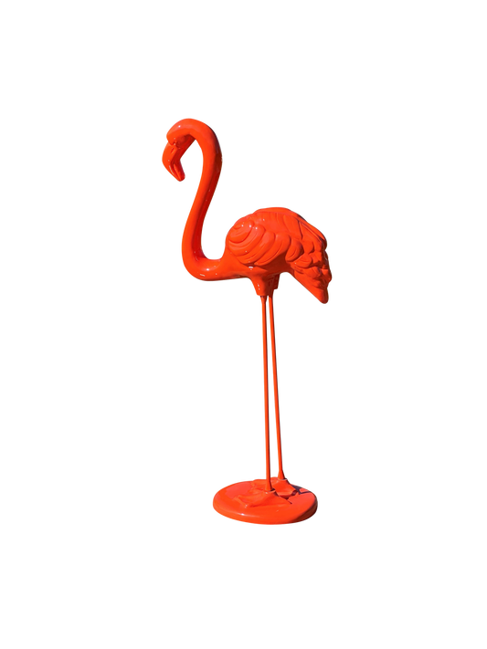 Vibrant Flamingo Orange