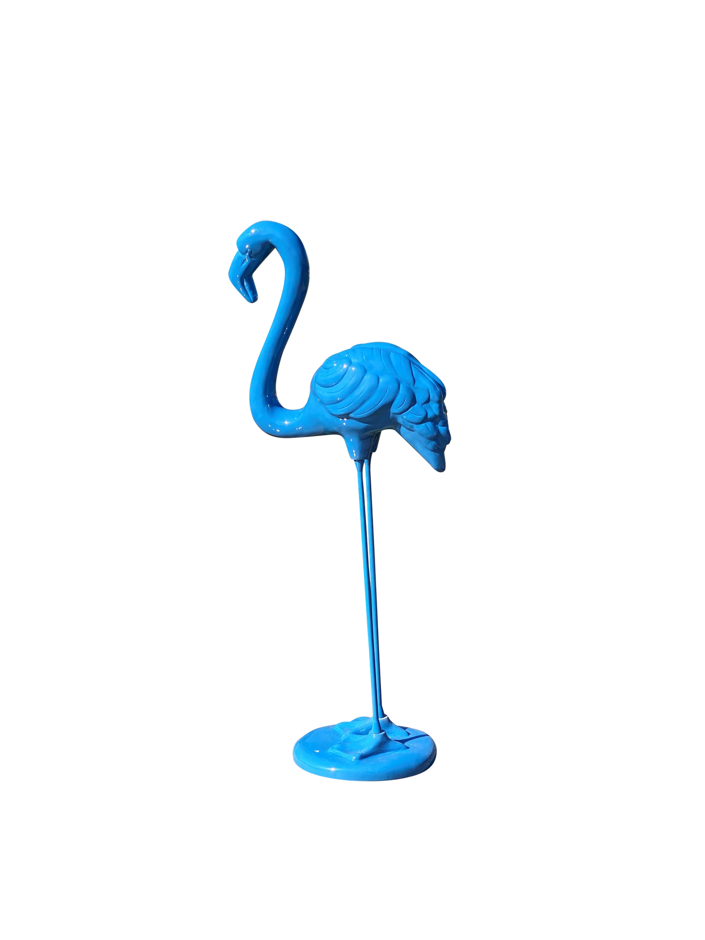 Vibrant Flamingo blue