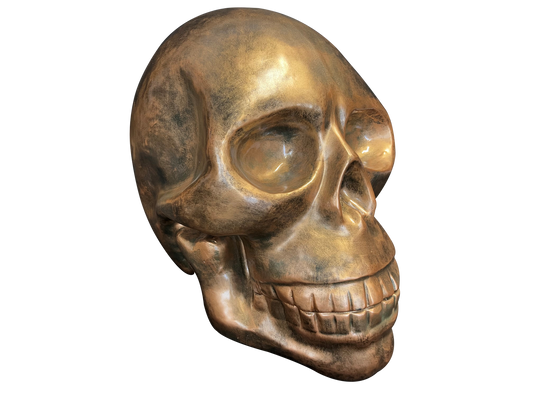 Bronze Skull Sculpture