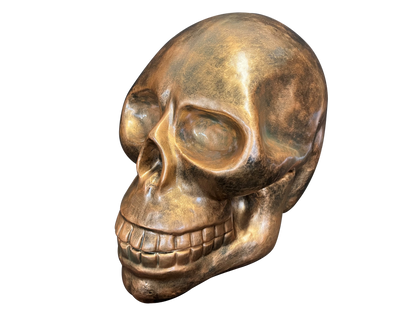 Bronze Skull Sculpture